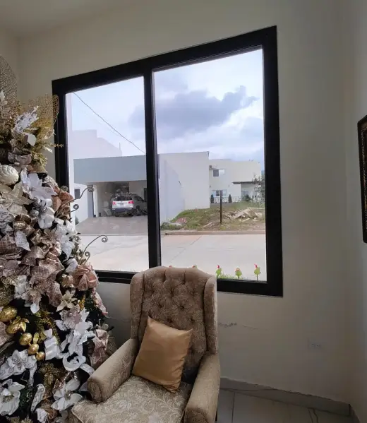 FOTO AL LADO DEL VIDEO 1